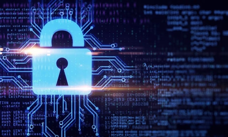 绍兴工业软件定制:NFTs相关知识要点与应用探索